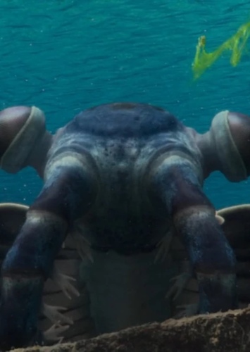 Anomalocaris photo 2