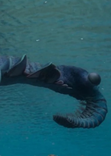 Anomalocaris photo 1