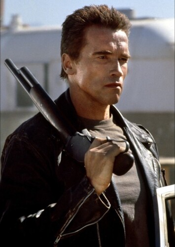 Arnold Schwarzenegger photo 4