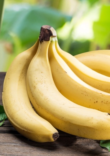 Banana photo 1