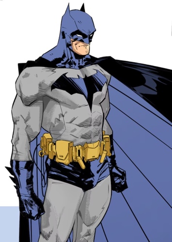 Batman photo 1
