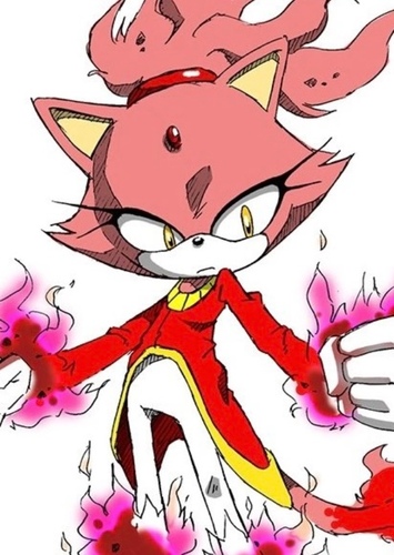 Blaze the Cat photo 1