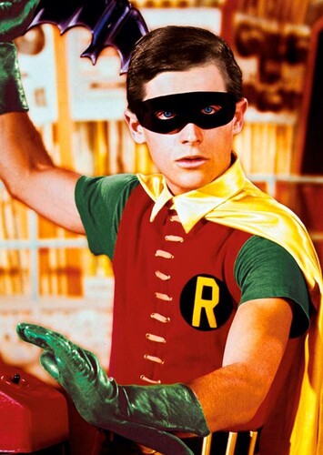 Burt Ward photo 1