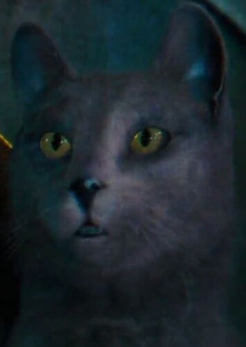 Catherine (Agent 47 at M.E.O.W.S) photo 2