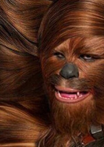 Chewbacca photo 1