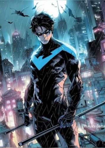 Dick Grayson photo 3