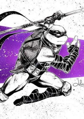 Donatello Hamato photo 1