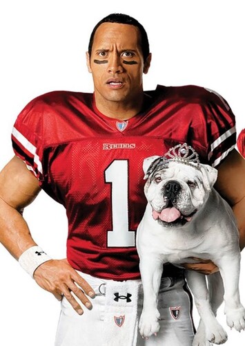 Dwayne Johnson photo 1
