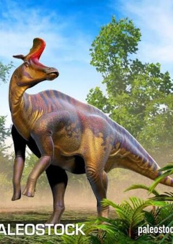 El otros de los dinosaurios photo 5