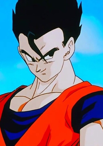 Gohan (Adult) photo 3
