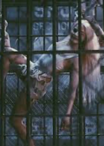 Harleen Quinzel photo 1