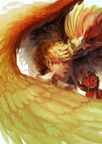 Hawks photo 2