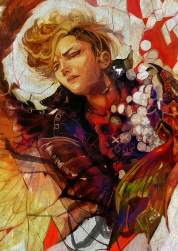 Hawks photo 1
