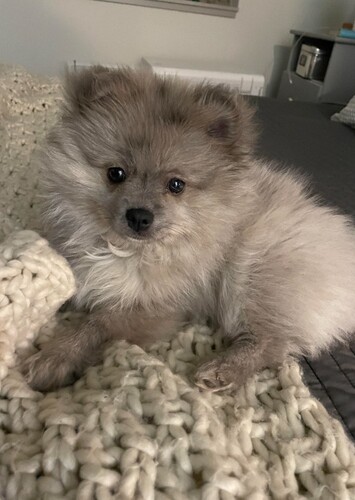 Isabella photo 2