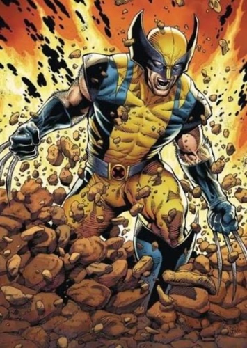James “Logan” Howlett photo 1