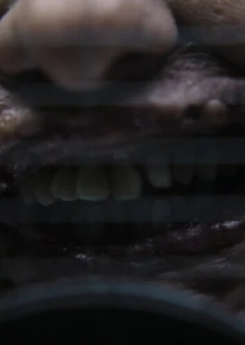 The Joker photo 3