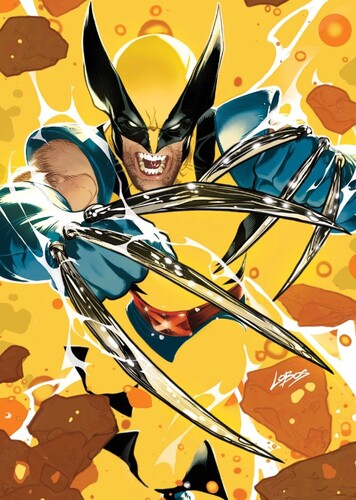 Logan "James" Howlett/Wolverine photo 6
