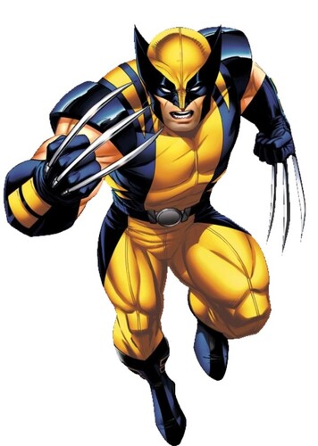 Logan "James" Howlett/Wolverine photo 4