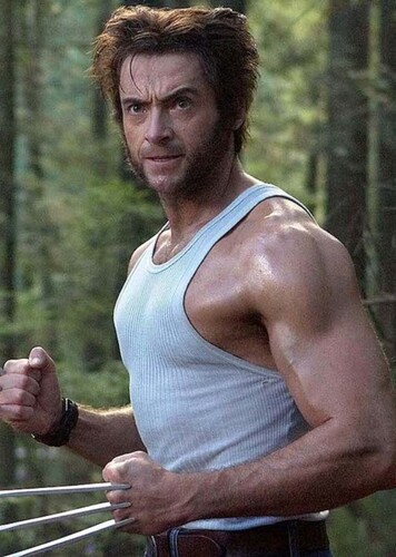 Logan "James" Howlett/Wolverine photo 3