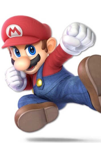 Mario photo 5