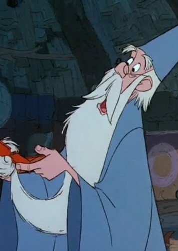 Merlin photo 1