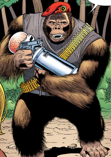 Monsieur Mallah photo 1