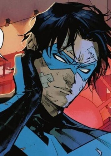Nightwing photo 1