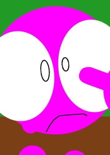 Niko the Kid photo 1