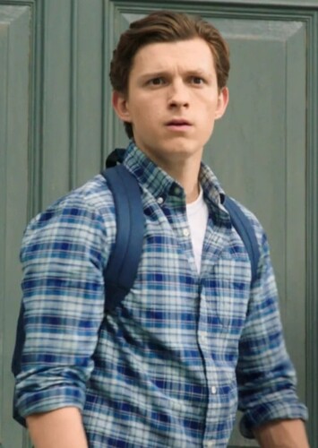 Peter Parker/Spider-Man photo 2