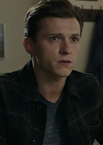 Peter Parker/Spider-Man photo 1