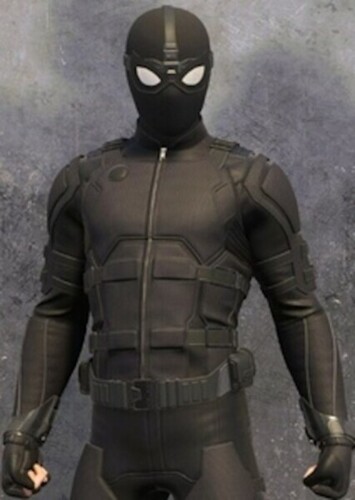 Peter Parker/Spider-Man photo 8
