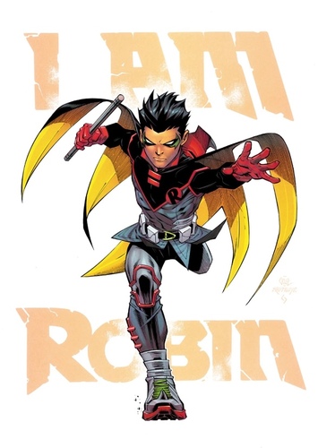 Robin photo 1