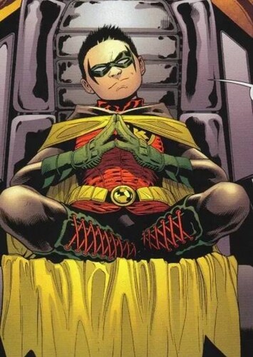 Robin IV photo 1