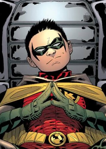 Robin IV photo 1