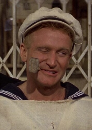 Robin Williams photo 3