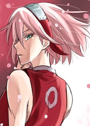 SAKURA photo 3