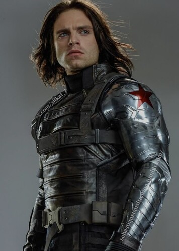 Sebastian Stan photo 7
