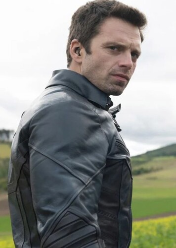 Sebastian Stan photo 2