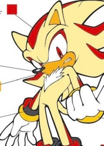 Shadow the Hedgehog photo 1