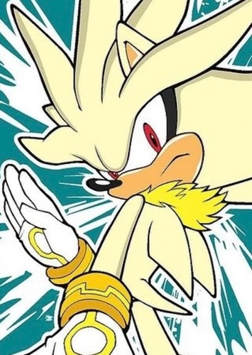 Silver the Hedgehog photo 1