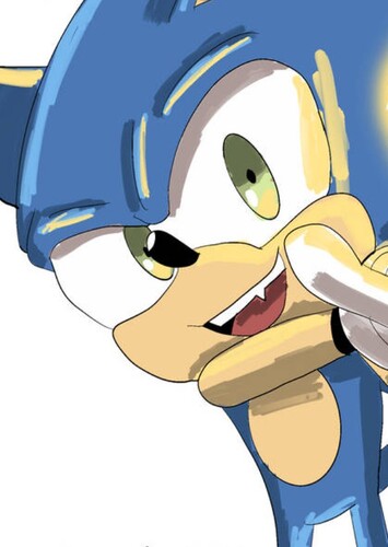 Sonic photo 1