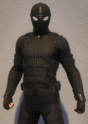 Spider-Man photo 5