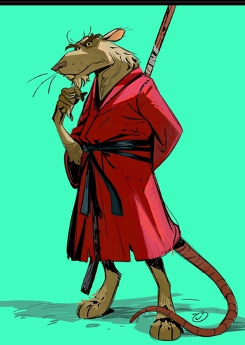 Splinter photo 1
