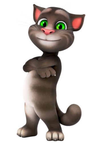 Talking Tom photo 1
