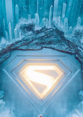 The Fortress of Solitude photo 5