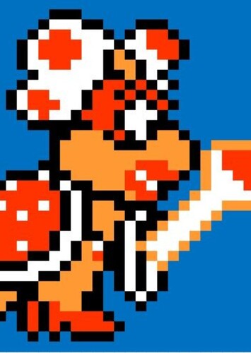 Wendy Koopa photo 1