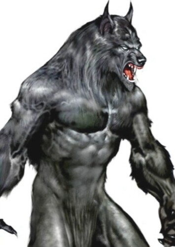 Wilfred Talbot/ Werewolf photo 4