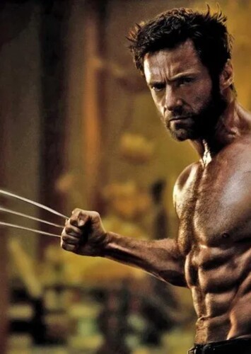 Wolverine photo 5