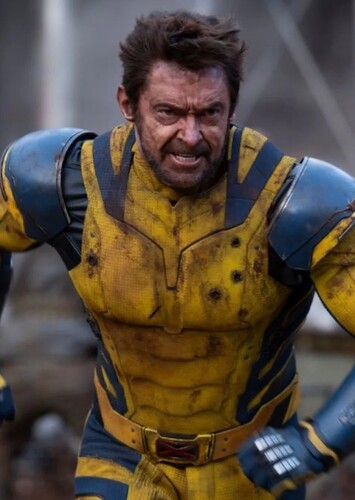 Wolverine photo 4