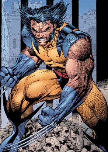 Wolverine photo 1